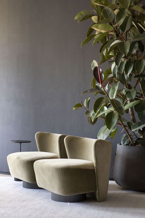 Gallery of Yugen House / Studio Gabriel Bordin - 11 Commercial Lounge, Contemporary Lounge Chair, Studio Chairs, House Studio, Furniture Design Living Room, Dark Walls, Interior Plants, Lounge Design, Lounge Armchair