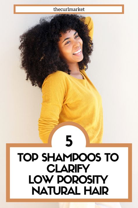 Don't you hate shampoos that completely strip your hair? Especially for low natural hair porosity? Me too! Tap this pin to learn about the TOP 5 shampoos to clarify low natural hair porosity TODAY! Your wash day for natural hair will improve! #naturalhair #naturalhairtips #naturalhairporosity #naturalhairgrowth #lowporosity #lowporositynaturalhair #lowporosityhairproducts #lowporosityhairregimen #washdayfornaturalhair Low Porosity Clarifying Shampoo, Shampoo For Low Porosity Hair, Low Porosity Hair Regimen, Diy Hair Shampoo, Hair Care Routine Daily, 4c Natural Hair Care, Hair Wellness, Best Clarifying Shampoo, Natural Curly Hair Care