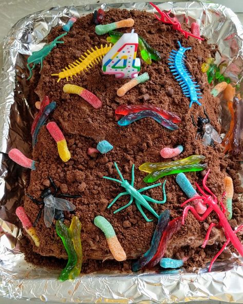 Birthday Dirt Cake, Bugs Birthday Cake, Insect Cake Ideas, Dirt And Worms Cake, Worm Birthday Cake, Insect Birthday Cake, Worm Birthday Party, Dirt Birthday Cake, Reptile Birthday Cake