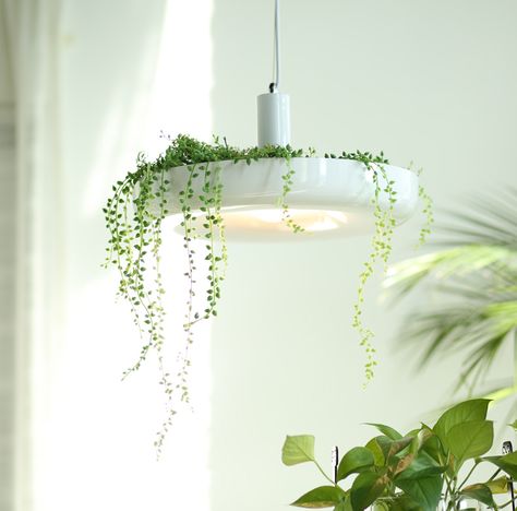 Nordic Plant Pendant Lights DIY Sky garden Led Lamp Flower Pot Hanging Lamp Dining Room Restaurant Lighting Fixtures Home Decor|Pendant Lights| - AliExpress Orange Farm, European Lighting, Luminaire Original, Iron Plant, White Cedar, Modern Planters, Pendant Fixture, White Pendant Light, Decorative Lighting