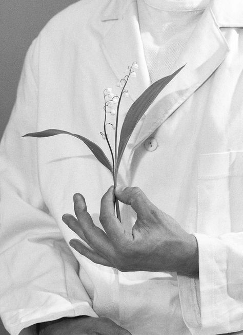 Flowers Foto, Hands Photography, Flowers Black And White, Paper Photography, Photography Book, Hand Flowers, Design Visual, Book Photography, Lily Of The Valley