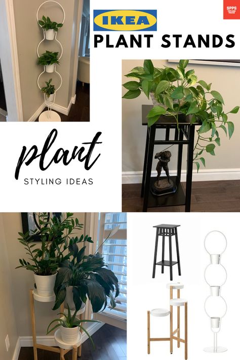 IKEA plant stands Ikea Plant Stand, Ikea Plant, Plant Stand Decor, Ikea Plants, Plant Styling, Plant Stands, Styling Ideas, Plant Stand, Pisa