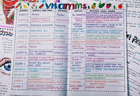 Vitamins Study Notes, Biochemistry Notes Vitamins, Vitamin Notes, Vitamins Chart, Nutrition Nursing, Nutrition Notes, Vitamin Charts, Formula Sheet, Biochemistry Notes