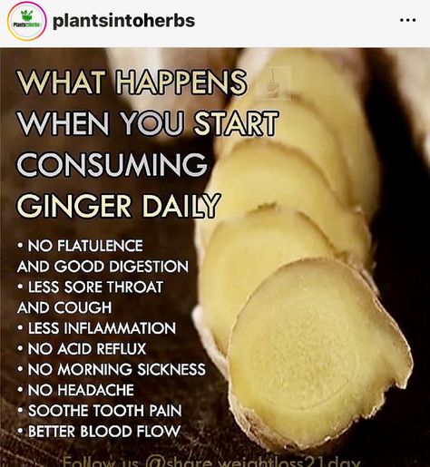 Ginger Facts, Detox Smoothies, Detox Challenge, Food Health Benefits, Ginger Benefits, Smoothie Detox, Tooth Pain, Fat Burning Smoothies, Home Health Remedies