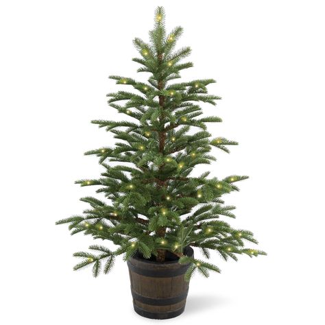 "Buy the 4 ft. Pre-Lit Feel Real® Norwegian Spruce Artificial Christmas Entrance Tree, Clear Lights at Michaels. com. This Norwegian Spruce Entrance Tree features Feel Real branch tip technology, creating a tree with remarkable realism. This Norwegian Spruce Entrance Tree features Feel Real branch tip technology, creating a tree with remarkable realism. These crush-resistant branch tips are molded from real tree branches for an authentic living tree appearance. This attractive planting is seated Porch Trees, National Christmas Tree, Spruce Christmas Tree, White String Lights, Spruce Tree, Artificial Trees, Wooden Tree, Evergreen Trees, Metal Tree