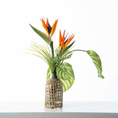 Approx. Overall Dimensions: 16" L x 13" W x 20" H Base Dimensions: 4" L x 4" W x 8" H Lifelike Floral & Botanical Indoor Use Permanently Set Designed, Handcrafted in Ohio We are taking forever flowers to the next level with our new line of real touch flower arrangements in luxury glassware. Our Tropical Leaves & Orange Bird of Paradise Water Illusion Arrangement in Rattan & Glass Bottle Vase is the perfect statement piece for your kitchen, dining room, office, or any space that needs