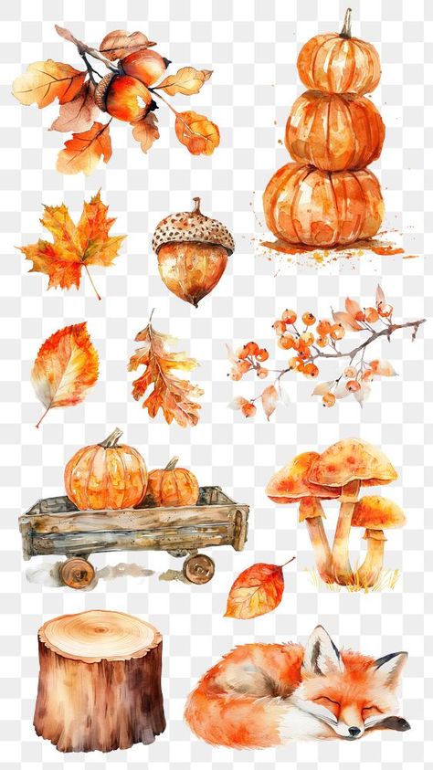 Acorn Illustration, Mushroom Autumn, Sticker Illustration, Png Elements, Autumn Design, Sticker Png, Monochrome Art, Autumn Stickers, Awesome Designs