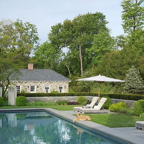 The most perfect pool, garden and setting I've ever seen, found on @heart4design 's stunningly beautiful feed (#onetofollow if you aren't already!) | Incredible landscape by @doylehermandesignassociates | Photo by Max Kim-Bee for @verandamag #dreamhome #cottonwoodstyle #pool Greenwich House, Victoria Hagan, Dream Pools, Garden Pool, Pool Landscaping, Pool Patio, Cool Pools, Pool Area, Pool Houses