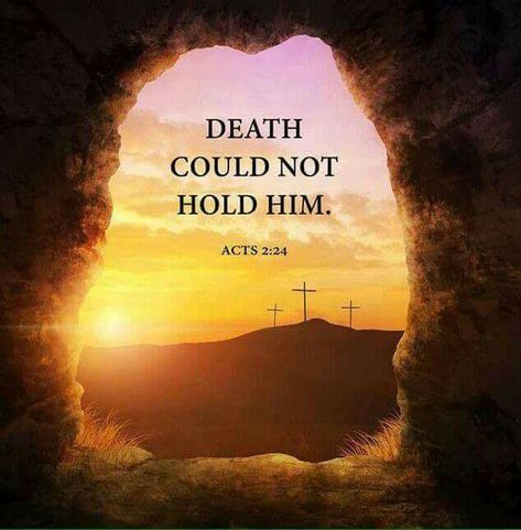 The tomb was empty! Glory to Jesus, our savior! Rose Hill Designs, Good Friday Images, Good Friday Quotes, Sundays Coming, Women Living Well, Friday Images, Resurrection Day, Resurrection Sunday, Easter Quotes