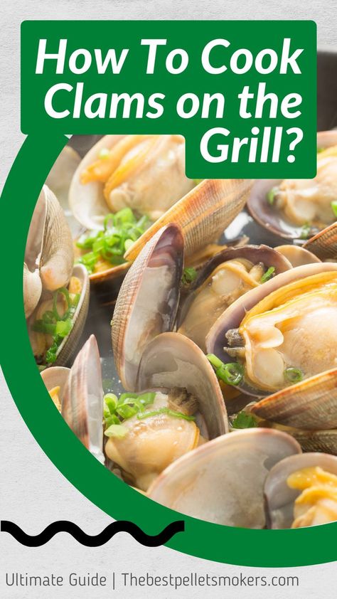 How To Cook Clams on The Grill? How To Cook Steamers, Clams On The Grill, Baked Clams Recipe, How To Cook Clams, Freshwater Clams, Grilled Clams, Bbq Seafood, Seafood Dish Recipes, Steamed Clams