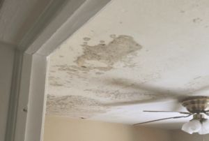 What to do if you notice a roof leak? - Signature Exteriors Roof Leak, Roof Sheathing, Leaky Roof, Roof Damage, Ceiling Materials, Gutter Guard, Attic Space, Roof Structure, Roofing Materials