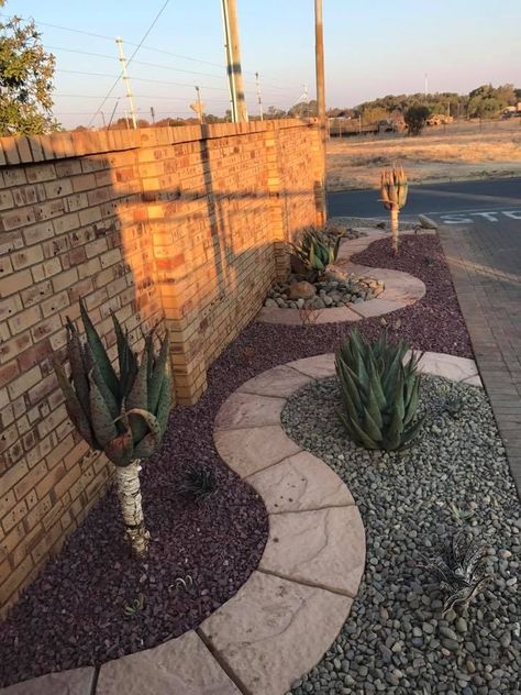 Aloes in a water-wise garden in drought stricken Bloemfontein South Africa Water Wise Gardens South Africa, Aloe Garden Landscaping South Africa, Water Wise Garden, Aloe Garden Landscaping, Waterwise Garden South Africa, Garden Ideas South Africa, Aloe Garden, Drought Tolerant Landscape Front Yard, Bloemfontein South Africa