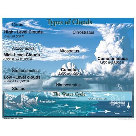 TYPES OF CLOUDS Meteorology Tattoo, Meteorology Aesthetic, Cloud Diagram, Types Of Clouds, Cloud Type, The Water Cycle, Weather Science, Weather Unit, Carson Dellosa