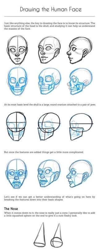 Drawing the Human Face Just like anything else, the key to drawing the face is to know its structure. The baste structure of the head Is the skull and studying it can help us understand the masses of the face. N AN 4 Y AS Pay e y o NS Let's see if we can get a better understanding of what's going on here by a – popular memes on the site ifunny.co Character Characteristics, Sketches Faces, Drawing Advice, People Sketches, Drawing 101, Faces Art, Face Proportions, Profile Drawing, Chara Design