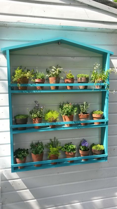 Garden Shelves Outdoor Wall, Patio Plant Shelves, Herb Garden Shelves Outdoor, Outdoor Plant Shelf Ideas, Outdoor Shelf Decor, Pallet Garden Shelves, Floating Shelves Herb Garden, Succulent Shelf Outdoor, Floating Shelves In Kitchen