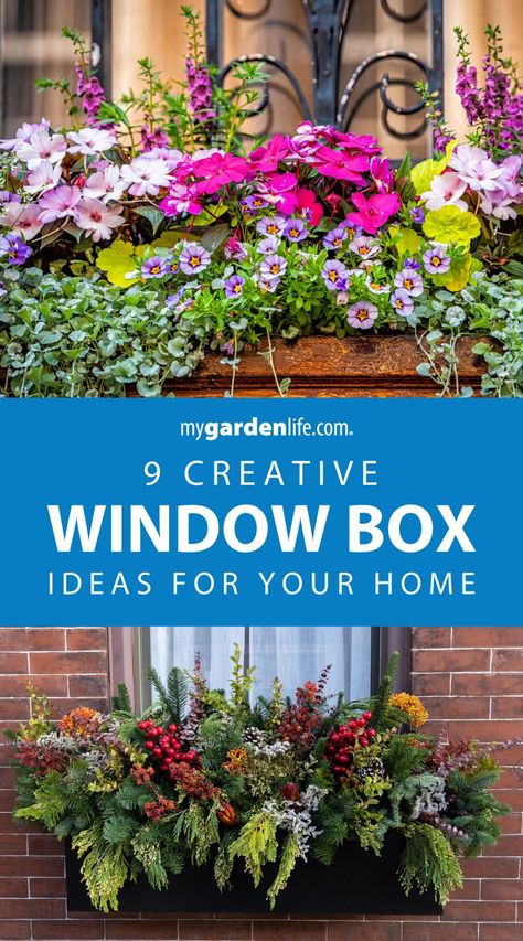 Brighten up your home with these window box ideas! Discover creative window box arrangement inspiration for sun, shade and every condition in between. These DIY window box planters will add charm to any window sill. Transform your home's exterior with these stunning displays and find more front porch gardening tips and landscaping inspiration at MyGardenLife.com. Window Box Perennials, Window Box Planter Ideas Full Sun, Window Box Design Ideas, Shade Window Box Ideas, Small Plant Box Outdoor Garden Ideas, Window Box Ideas For Sun, Window Boxes For Shade, Summer Window Boxes Ideas, Houses With Window Boxes