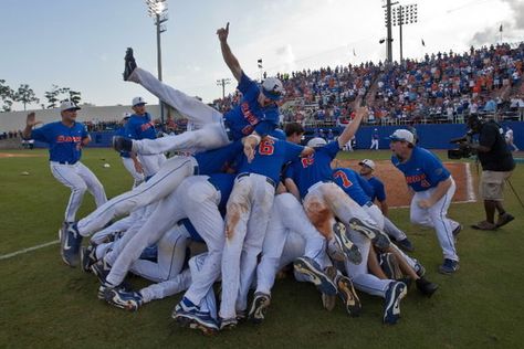 Florida Gators Baseball, Gators Football, Steve O, Florida Gator, College World Series, Tim Tebow, Lifelong Friends, University Of Florida, Florida Gators