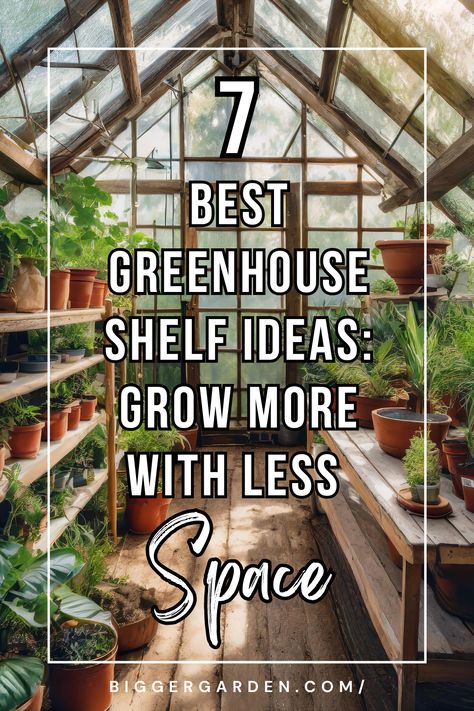 Greenhouse For Indoor Plants, Greenhouse Shelves Ideas, Setting Up Greenhouse, Diy Inside Greenhouse Ideas, Organizing A Greenhouse, Greenhouse Organizing Ideas, Greenhouse Shelf Ideas, Greenhouse Shelving Ideas Diy, Greenhouse Shelves Diy