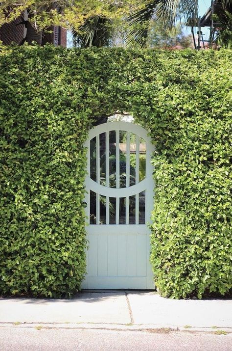 Trendy Garden Decors - Garden DIY crafts ideas - Mini garden decor - Winter Garden decors Farmhouse Wine Bar, Giant Hosta, Secret Garden Door, Sitting Area Design, Garden Sitting Areas, Fencing And Gates, Garden Gate Design, Garden 2023, Front Courtyard