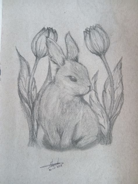 Realistic Rabbit Drawing, Bunny Sketch Cute, Realistic Bunny Drawing, How To Draw A Bunny Step By Step, Drawing Ideas Bunny, How To Draw A Bunny, Bunnies Drawing, Simple Nature Drawing, Draw Bunny