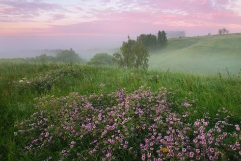 Last Ride, Pretty Landscapes, Nature Aesthetic, The Grass, Pretty Places, Mother Earth, Pretty Pictures, Mother Nature, Beautiful Nature