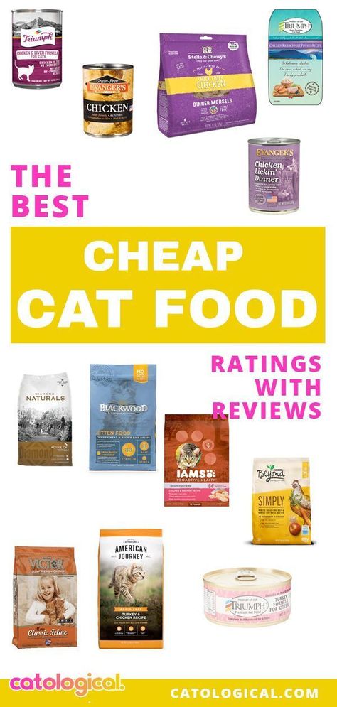 Senior Cat Food, Cat Vitamins, Savings Ideas, Best Cat Food, Kitten Food, Older Cats, Kitten Care, Senior Cat, Great Cat