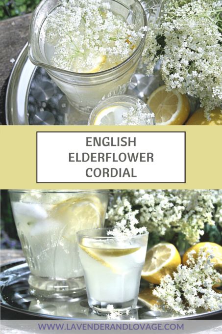 Old Fashioned English Elderflower Cordial - Lavender and Lovage Cordial Recipe, Elderflower Cordial, Foraging Recipes, Paleo Dishes, Country Recipes, Heirloom Recipes, Summer Drink Recipes, Old Fashioned Recipes, British Food