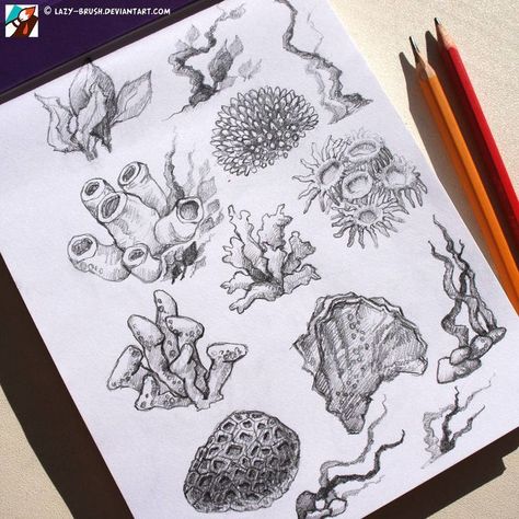 Coral Reef Drawing, Coral Drawing, Animals Jokes, Poisonous Mushrooms, Coral Art, Mushroom Drawing, Ink Illustration, Desenho Tattoo, Mushroom Art