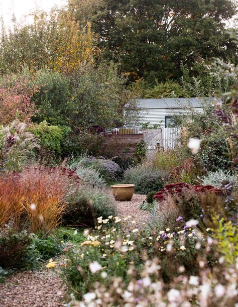 Australian Native Garden, Australian Garden, Mediterranean Garden, Native Garden, Magical Garden, Garden Landscape Design, Perennial Garden, The Grove, Country Gardening