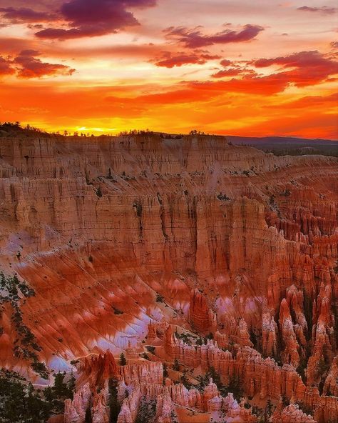 Sunset at Bryce Canyon National Park in southwestern Utah Utah Sunset, Arizona Aesthetic, California Zephyr, Random Photography, Channel Islands National Park, Visit Yellowstone, Desert Landscapes, National Parks Photography, Capitol Reef National Park