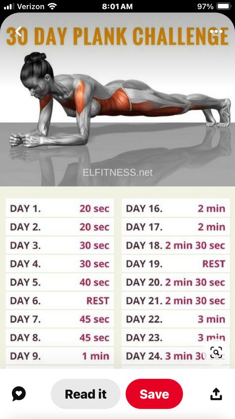 Sitting Workout, 30 Day Plank, 30 Day Plank Challenge, 30 Day Drawing Challenge, Pilates Workout Routine, 15 Minute Workout, Melt Belly Fat, Stem Challenge, Plank Challenge