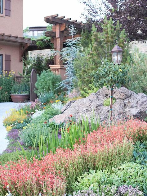 A Better Garden Bed:  Water saving strategies include bolder to fill in gaps between drought tolerant plants.  Lavendar and penstemon.  Evergreens for structure, color.  Curves. Drought Resistant Plants, Drought Tolerant Garden, Diy Herb Garden, Drought Tolerant Landscape, Have Inspiration, Drought Tolerant Plants, Perennial Garden, Desert Landscaping, Landscape Projects