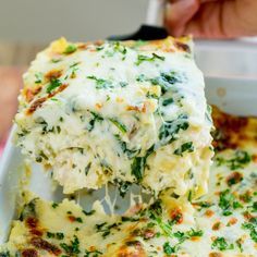 White Chicken Lasagna Recipe, Easy Chicken Lasagna, Cheesy Chicken Lasagna, Chicken Alfredo Lasagna Recipe, Wings Video, Creamy Cheesy Chicken, Recipe Lasagna, Chicken Lasagna Recipe, White Chicken Lasagna