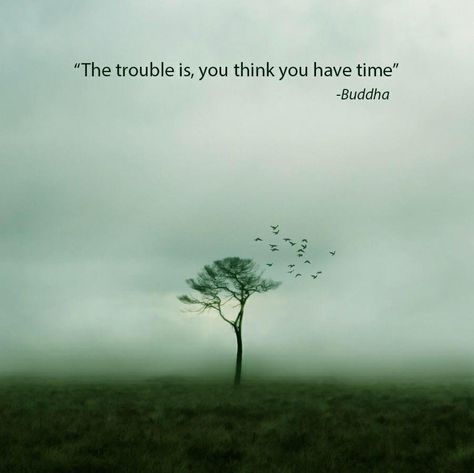 Famous Buddha Quotes, Best Motivational Thoughts, Eckart Tolle, Buddha Quotes Inspirational, Buddhism Quote, Buddhist Quotes, Buddha Quote, Motivational Thoughts, Buddha Quotes