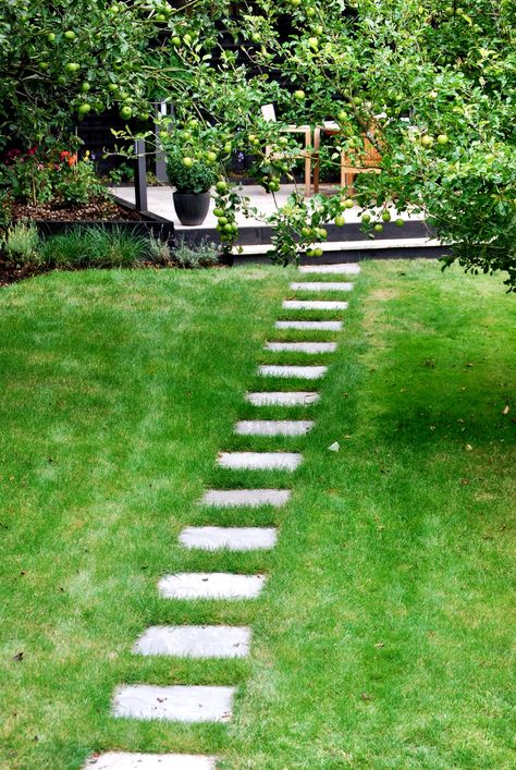 Small Garden Path Ideas, Stones Garden Ideas, Stepping Stones Garden, Projects Aesthetic, Stepping Stone Path, Common Flowers, Garden Of Eve, Bougainvillea Tree, Home Decor Business