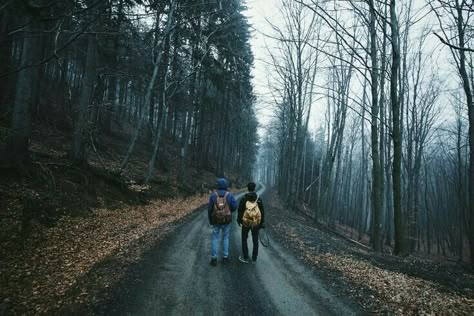 Woods At Night, Small Town Aesthetic, Sean Diaz, Small Town Mystery, Town Aesthetic, Buzzfeed Unsolved, Midwest Emo, The Boogeyman, Stranger Things Aesthetic