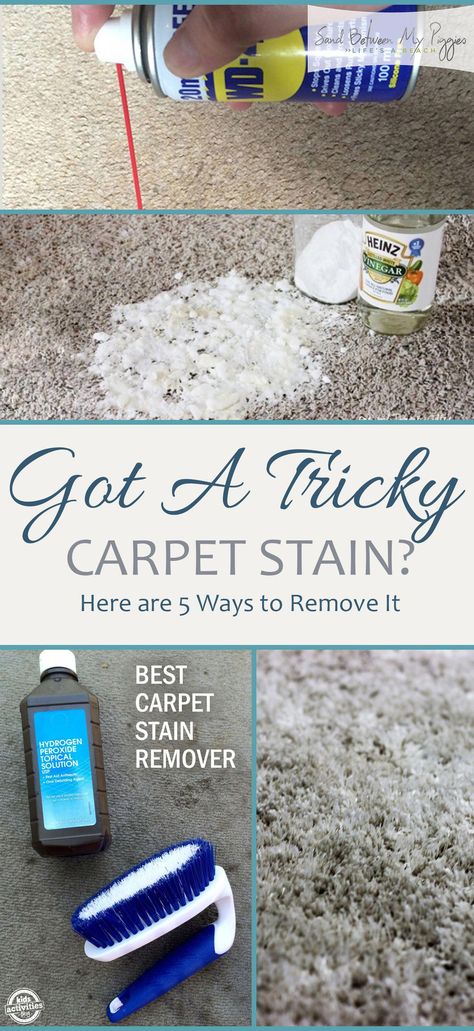 Carpet stains are annoying, ugly, and slightly embarrassing. Who knew those fuzzies under our feet were so dang absorbent? Instead of reaching for your phone book to call your nearest carpet cleaner, reach into your cleaning closet instead! Here are five ways to remove carpet stains, for good! Best Carpet Stain Remover, Carpet Diy, Homemade Toilet Cleaner, Stain Remover Carpet, Carpet Stain, Clean Baking Pans, Cleaning Painted Walls, Glass Cooktop, Deep Cleaning Tips