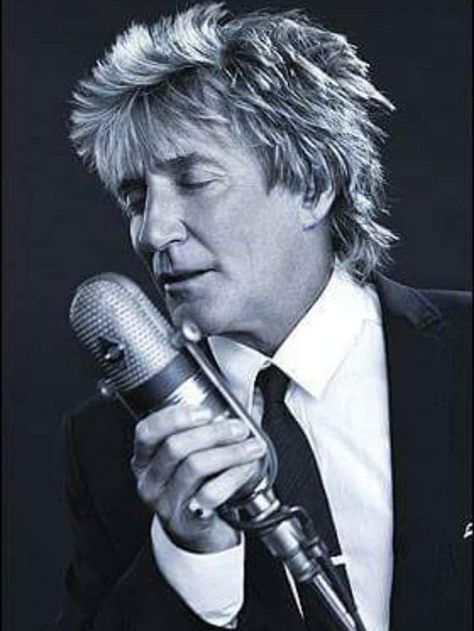 Rod Stewart Concert, Rod Stewart, People Of Interest, Artist Album, Tina Turner, Movie Soundtracks, Dynamic Poses, Mp3 Music, Latest Albums