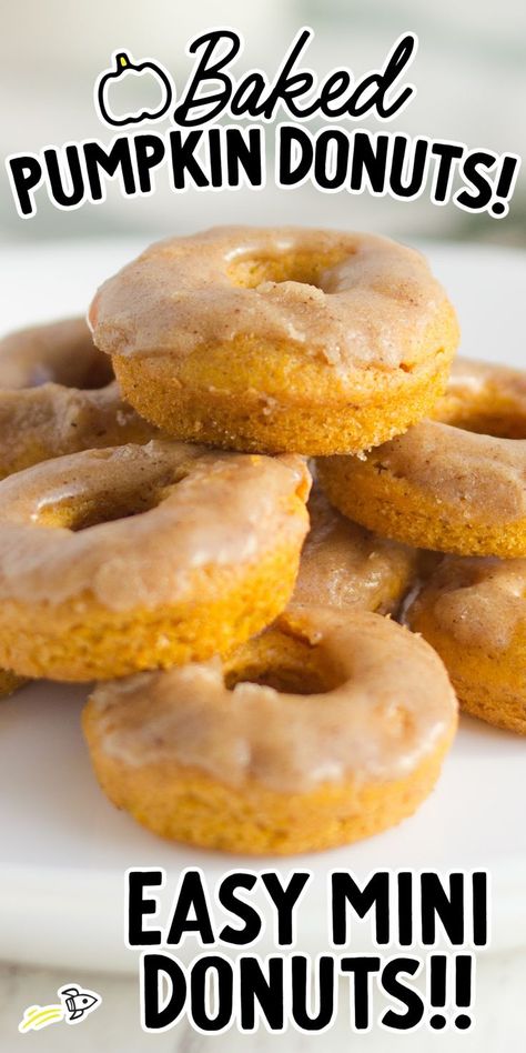 Pumpkin Donuts Carrot Cake Desserts, Pumpkin Spice Cake Mix, Banana Carrot Cake, Pumpkin Spice Glaze, Piped Cake, Baked Donut Recipe, Carrot Cake Dessert, My Little Pony Names, Cheap Healthy Recipes