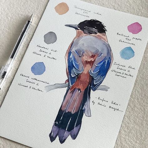 Process 🔸 Cardinal Birds Art, Polina Bright, Barn Swallow, Watercolour Inspiration, Bright Art, Arte Inspo, Watercolor Sketch, Watercolor Inspiration, Bird Drawings