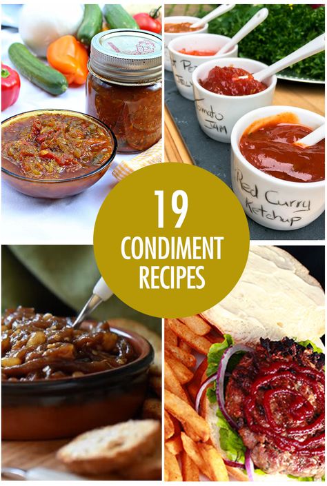 Homemade Condiment Recipes | Food Bloggers of Canada Homemade Condiments, Condiment Recipes, Spice Up Your Life, Food Garnishes, Recipe Roundup, Homemade Sauce, Seasoning Mixes, Recipes Food, Recipe Collection