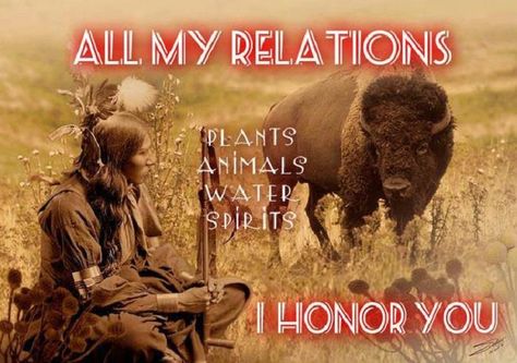 Prayers and Blessings @ Ya-Native.com #YaNative Oglala Lakota, Native American Prayers, Native American Proverb, Native American Spirituality, Native American Wisdom, Native American Quotes, Native American Pictures, Water Spirit, Western Comics