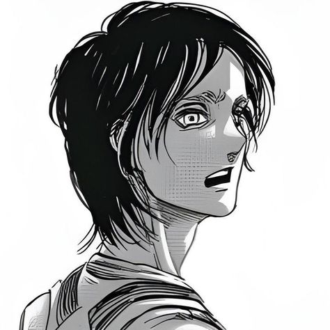 . on TikTok Eren Pointing At The Ocean Manga, Eren Manga Panels, Eren Pfp Manga, Eren Jaeger Manga Icon, Eren Manga Pfp, Eren Manga Icon, Mapeh Subject Design, Eren Yeager Manga, Eren Jaeger Manga