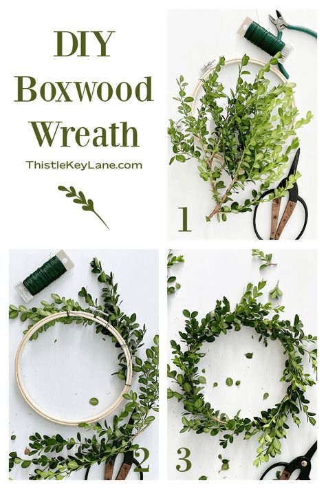 Three Ways To Style A Boxwood Wreath For Summer - Have fun creating and displaying boxwood wreaths to add color and texture into any room. Preserved Boxwood Wreaths. Styling Wreaths For Summer. Small Boxwood Wreath, Boxwood Wreaths, Preserved Boxwood Wreath, Preserved Boxwood, Thrift Store Decor, Diy Dining Room, Easy Diy Decor, Pretty Wreath, Boxwood Wreath