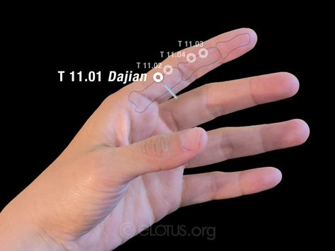 Dajian (T 11.01) | Master Tung's Acupuncture | eLotus CORE Reflexology Hand, Acupuncture Point, Ear Anatomy, Jen Selter, Hand Reflexology, Chiropractic Wellness, Frozen Shoulder, Chest Congestion, Michelle Lewin