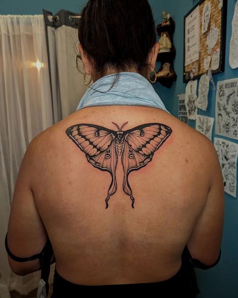 Luna moth for Marisa's first tattoo! Absolutely love the placement on this, middle upper back tattoos are so lovely. 🦋 Luna Moth Back Tattoo, Moth Back Tattoo, Upper Back Tattoo, Luna Moth Tattoo, Upper Back Tattoos, Moth Tattoo, Luna Moth, Back Tattoos, Fun Art