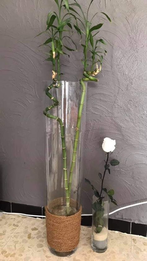 Deco Grand Vase En Verre, Large Glass Vase Filler Ideas, Glass Vase Filler Ideas, Grand Vase Transparent, Tall Clear Vase, Vase Filler Ideas, Large Glass Vase, Vase Transparent, Grand Vase