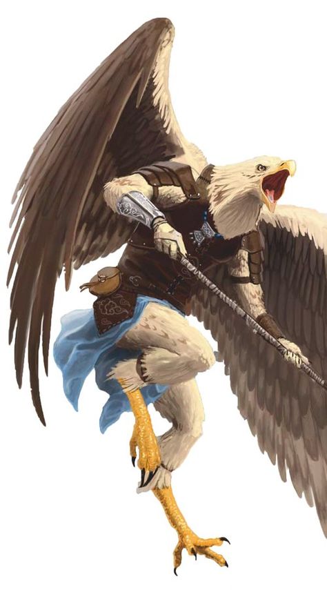 Deep Dive - The Aarakocra — Dump Stat Adventures Bird People, Tv Tropes, Dnd Art, Dungeon Master, Dnd Characters, Roleplaying Game, Fantasy Creatures, Character Concept, Bald Eagle