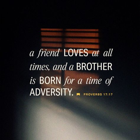 Proverbs 17:17 A friend loves at all times, and a brother is born for adversity. | English Standard Version 2016 (ESV) | Download The Bible App Now John 13 35, Proverbs 17 17, Bible Challenge, Amplified Bible, Audio Bible, Bible Plan, Bible Versions, Daily Verses, Daily Scripture