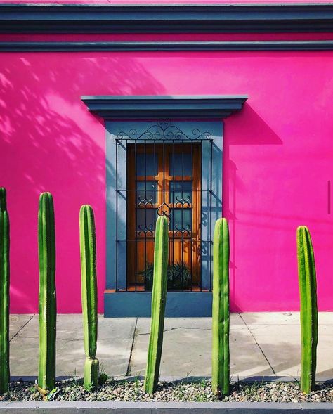 Mexican House Exterior, Craft Fairs Booth, American Paint, Exterior Colors, Exterior Paint, Friends And Family, In Nature, Find It, House Colors